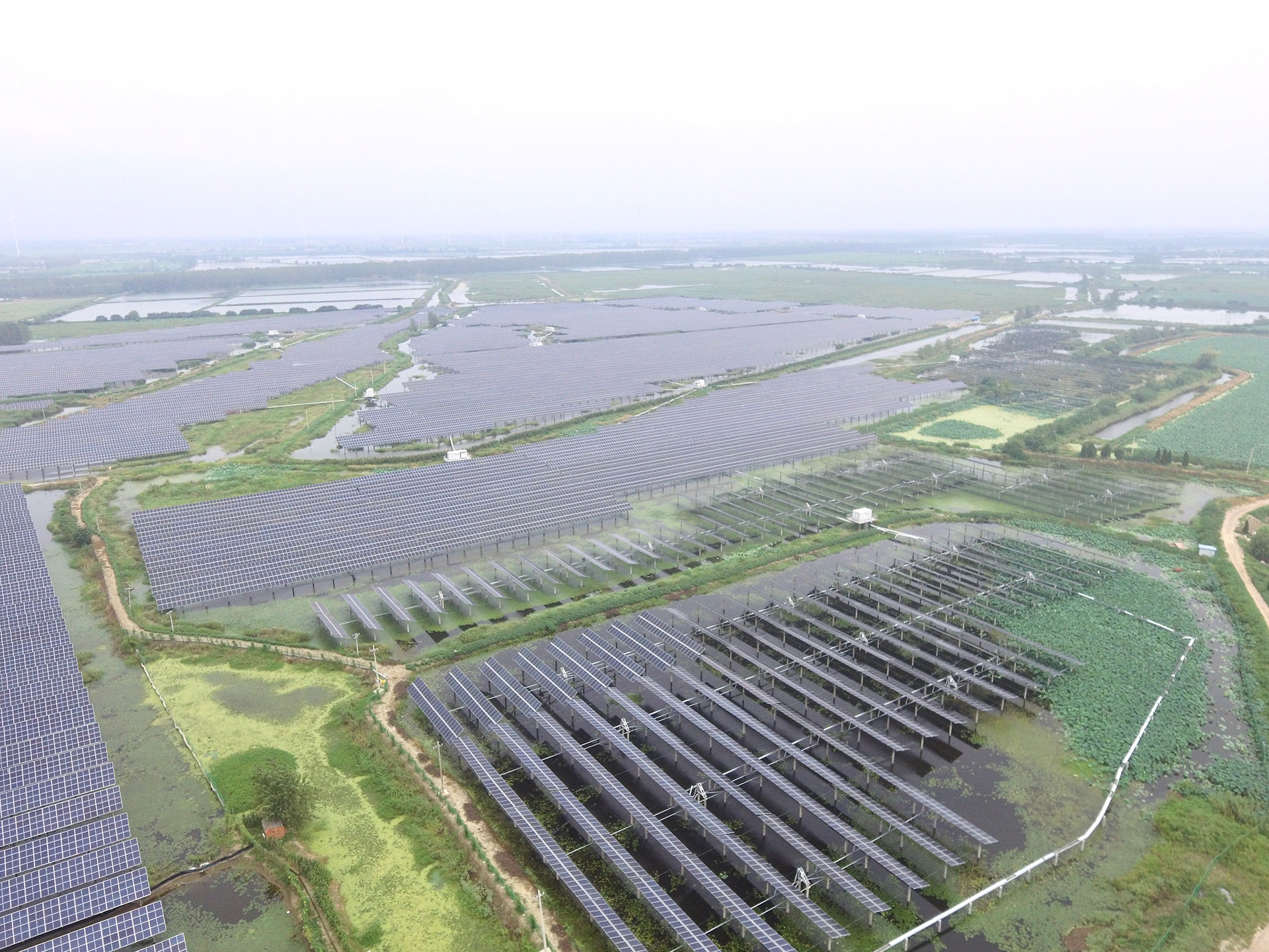 350vip浦京集团科技江苏扬州宝应光伏发电应用领跑基地2号100兆瓦项目